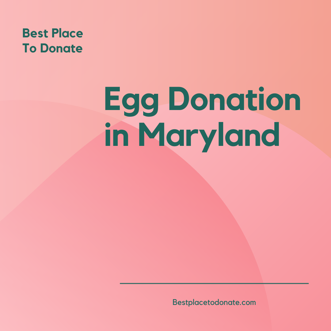 Egg Donation in Maryland