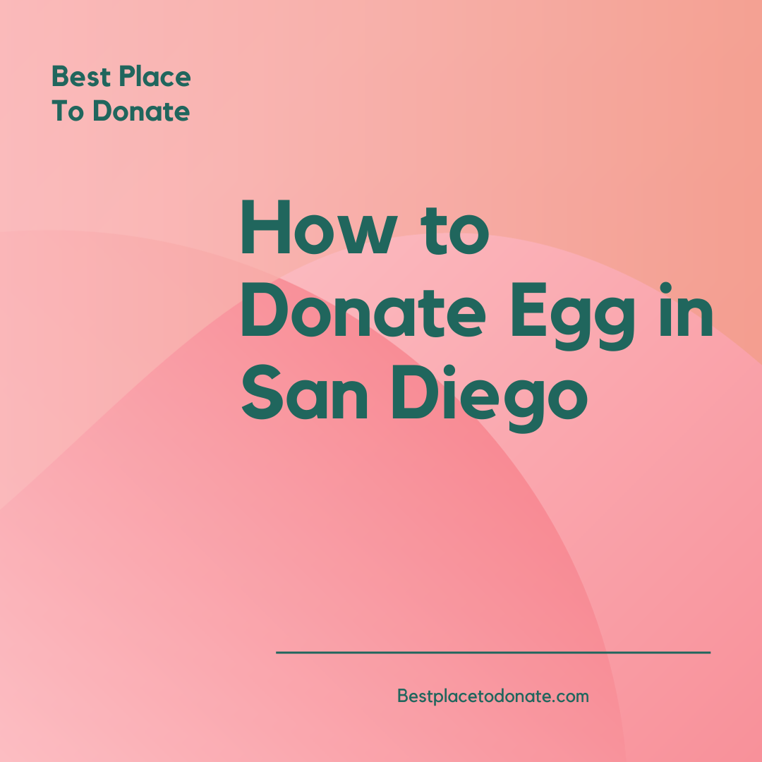 How to Donate Egg in San Diego