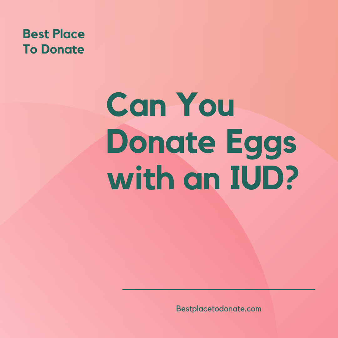 Can You Donate Eggs with an IUD?