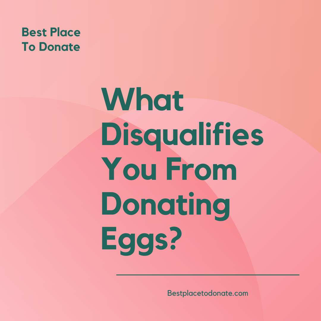 What Disqualifies You From Donating Eggs?