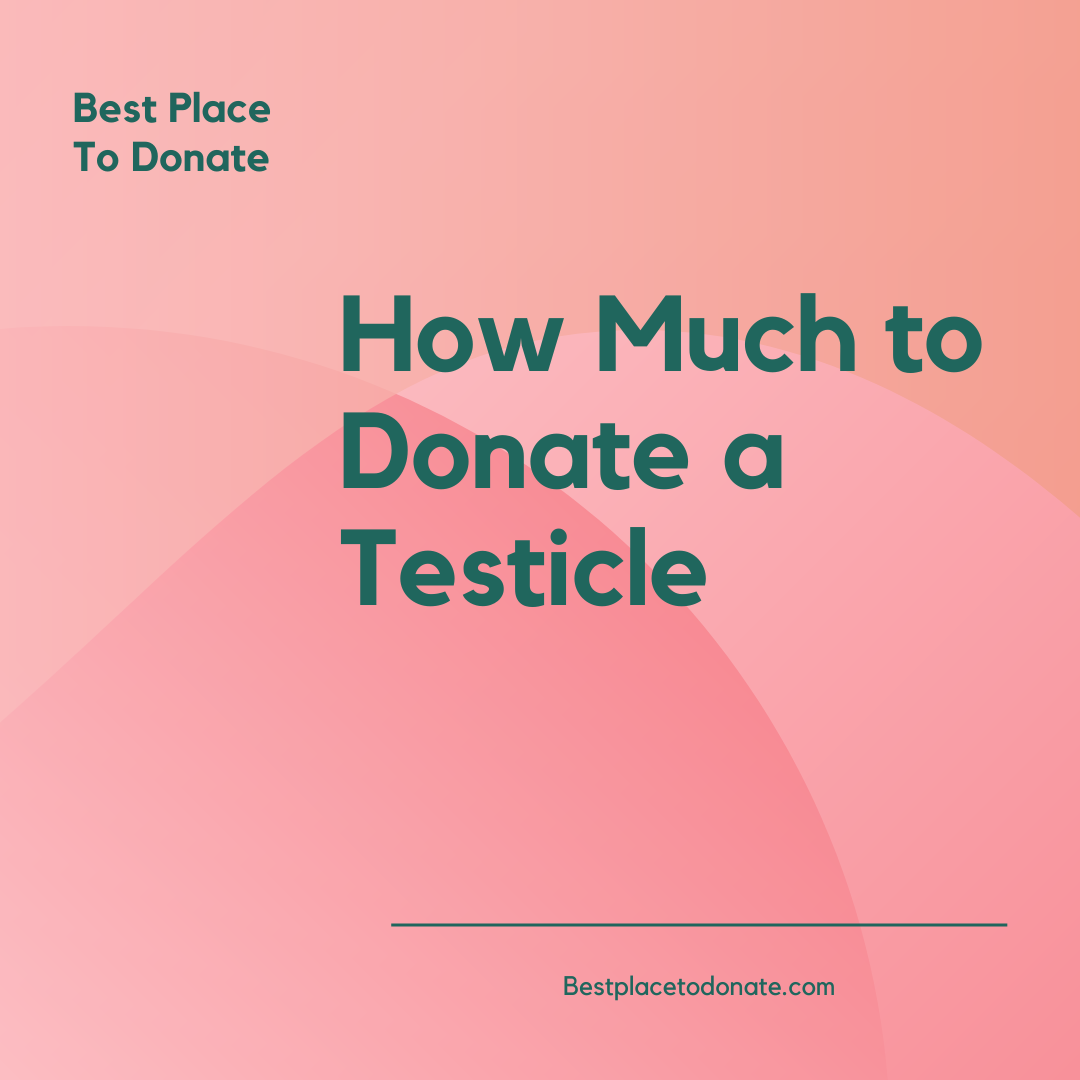 Best Place To Donate In Usa 