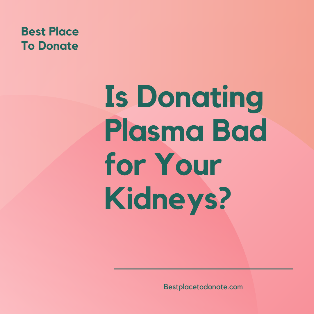 Donation Best Place To Donate In USA