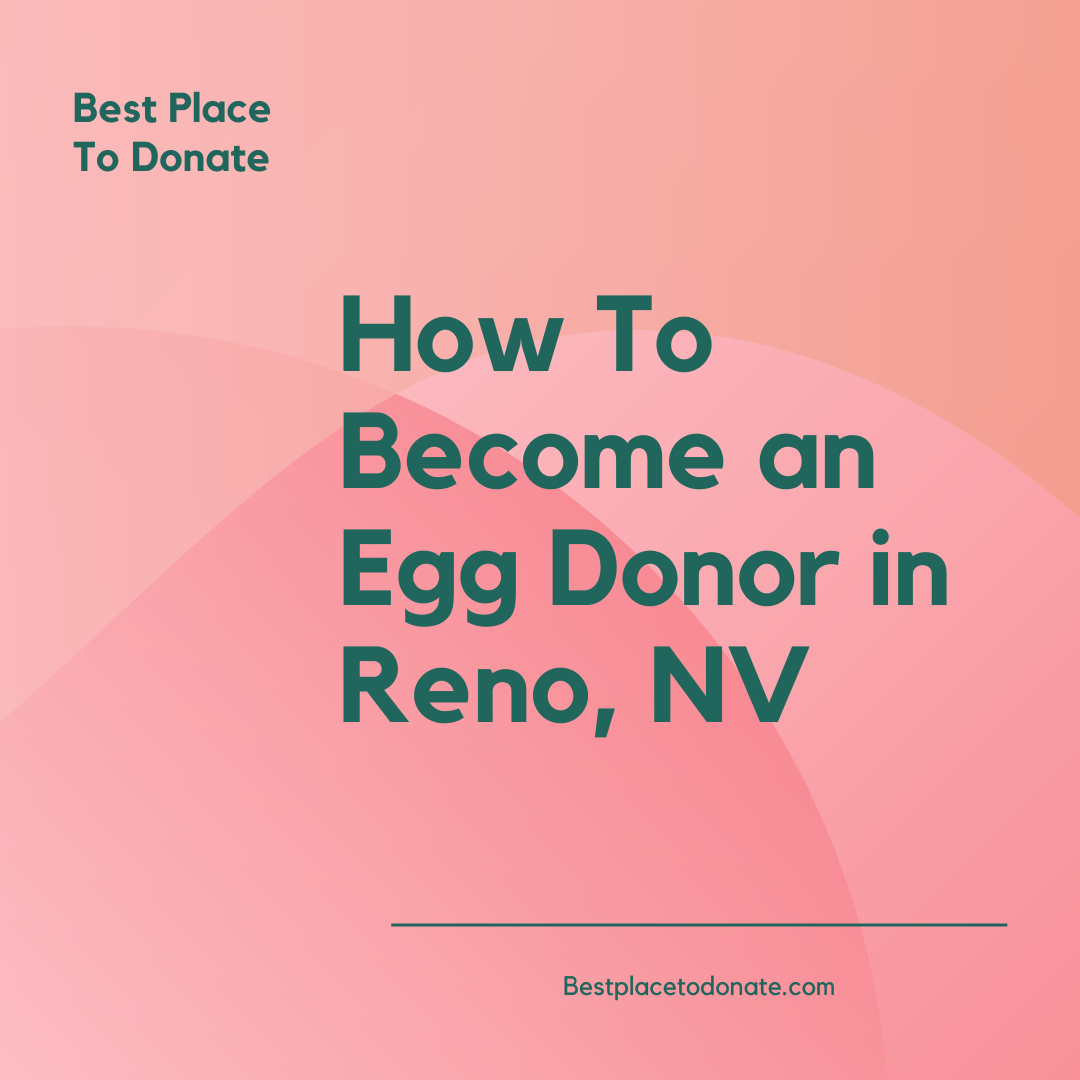 Become an Egg Donor in Reno, NV