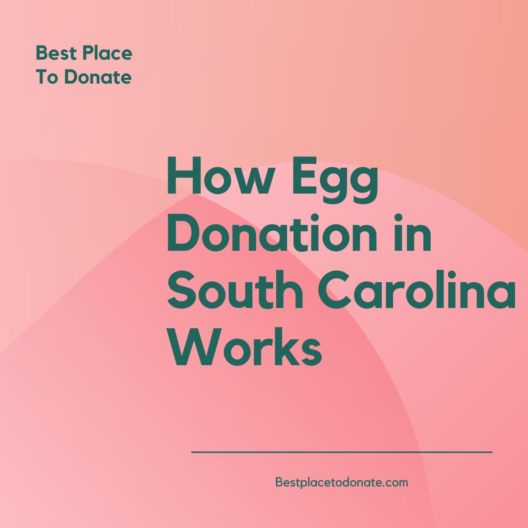 How Egg Donation in South Carolina Works