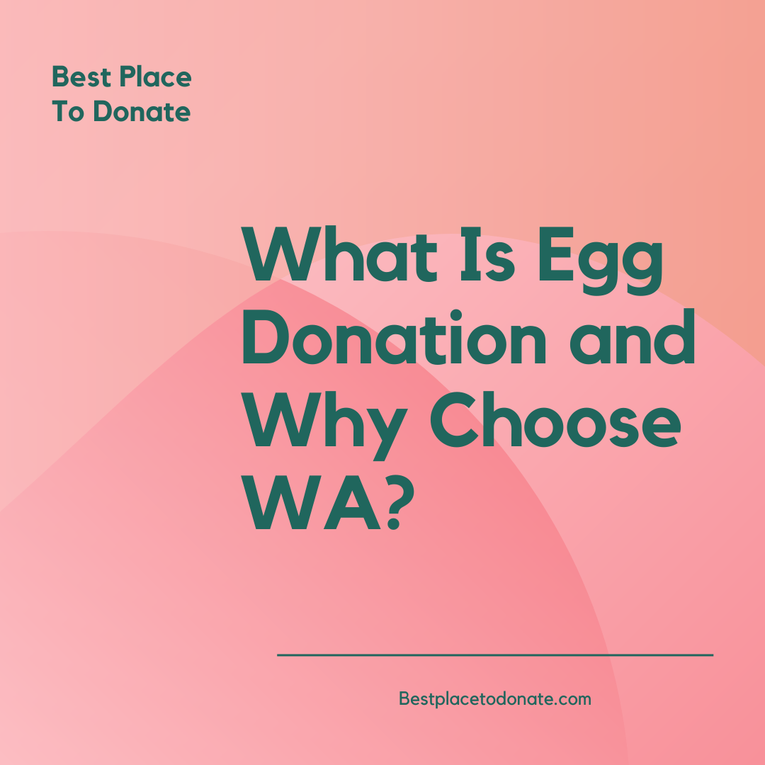What Is Egg Donation and Why Choose WA
