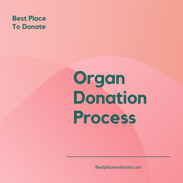 Organ Donation Process