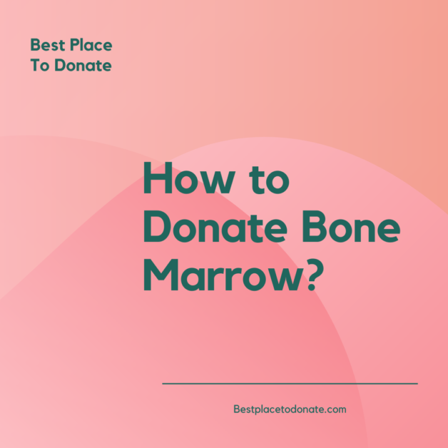 How to Donate Bone Marrow?